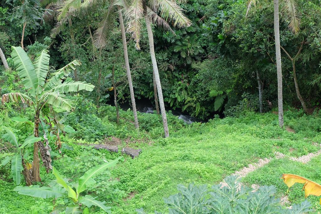 Tirta Asri Ubud Villa ภายนอก รูปภาพ