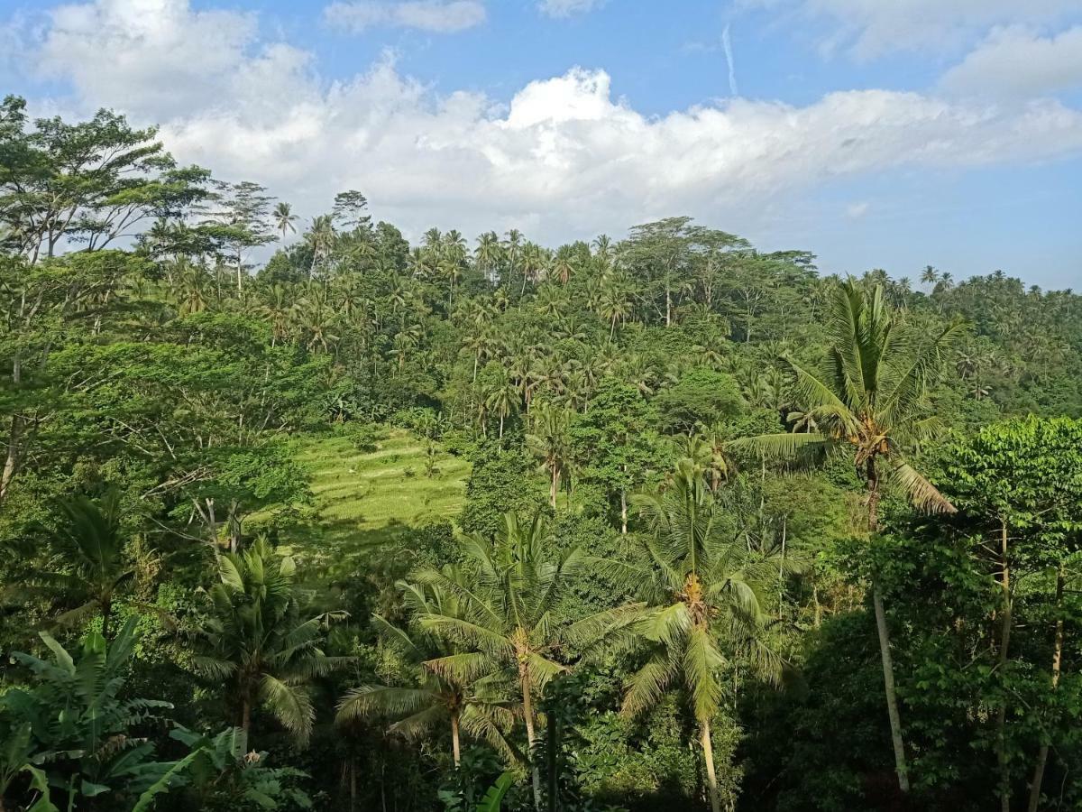 Tirta Asri Ubud Villa ภายนอก รูปภาพ